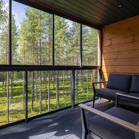 Hankielaemae A * Levi